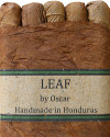 Leaf by Oscar, Toro Connecticut 