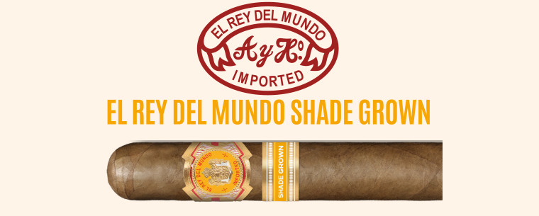 El rey del mundo shade grown