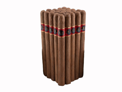 Blackbird Nest Connecticut Presidente 