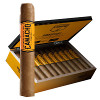 Camacho Connecticut, Gordo 