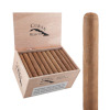 Cuban Rejects, Toro Gordo 