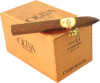 Oliva Serie G, Torpedo 